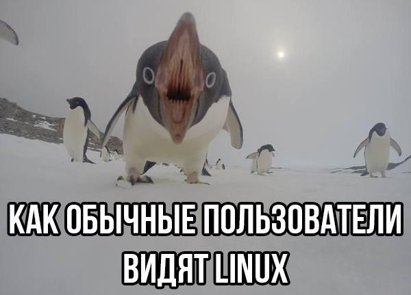Как обычные пользователи видят Linux