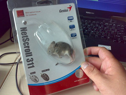 некомпьютерная мышь