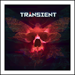 Transient